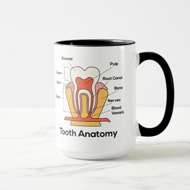 Taza Gráfica de anatomía dental (Derecha)