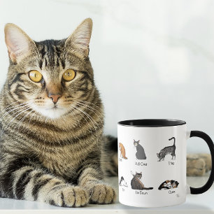 Taza Gráfico de Entrenamiento de Comandos de Gatos Dive