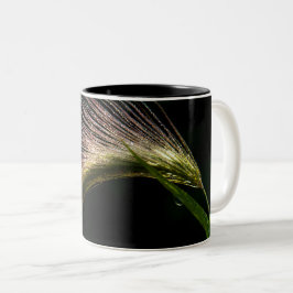 taza graminada con el rocío