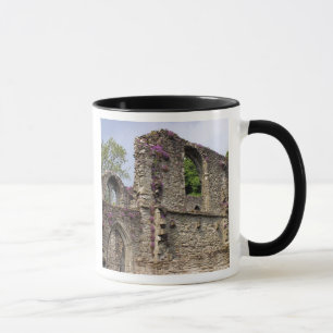 Taza Gran Bretaña, Reino Unido, Escocia. Ruinas 2