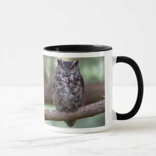 Taza Gran búho de cuernos