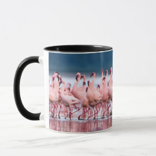 Taza Gran Grupo De Flamencos Menores