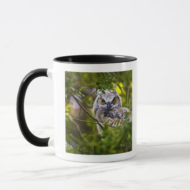 Taza Gran Owlet de cuernos (Izquierda)