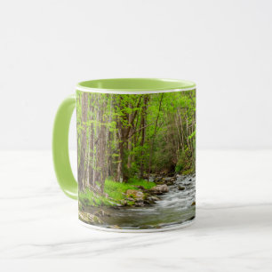 Taza Gran Parque Nacional de Montañas Smoky Carolina de