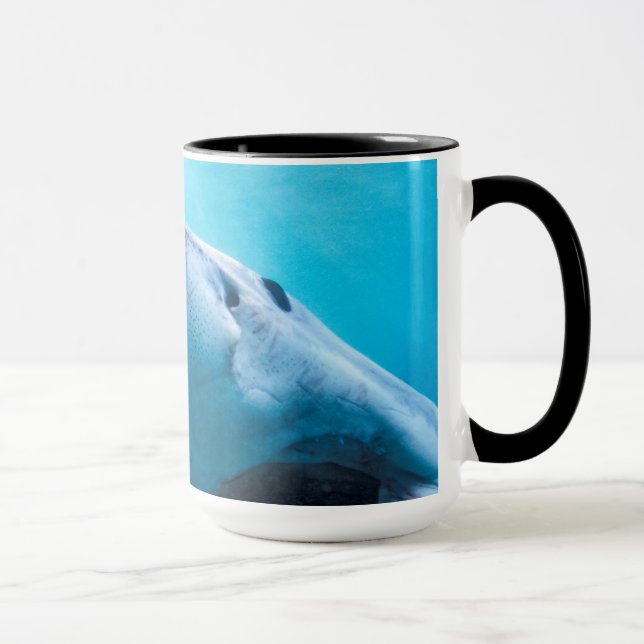 Taza Gran tiburón blanco | Sudáfrica (Derecha)