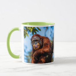 Taza Grand singe roux perché dans un arbre tropical .