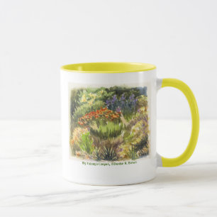 Taza grande del barranco de Tujunga