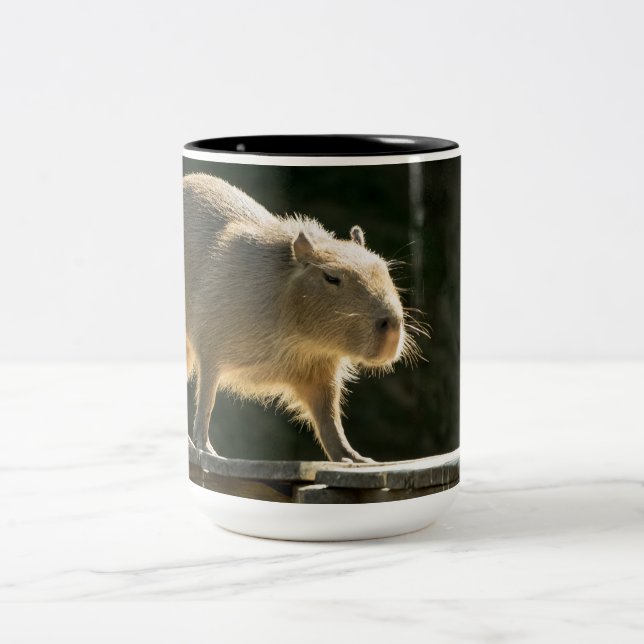 Taza grande del Capybara (Centro)