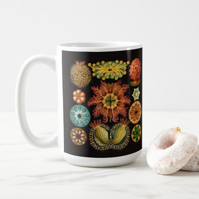 Taza grande del equinodermo de Haeckel (Con donut)