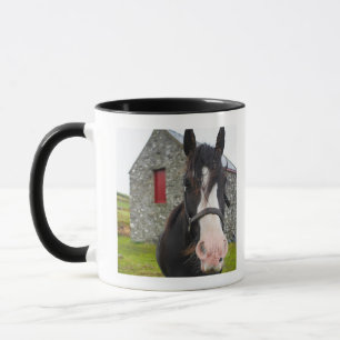 Taza Granero del caballo y de la piedra en Inglaterra
