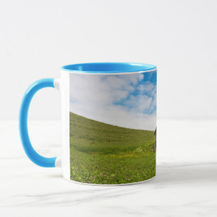 Taza Granero rojo viejo en campo de garbanzos