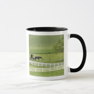 Taza granja Amish con caballo y carruaje cerca de Berlí