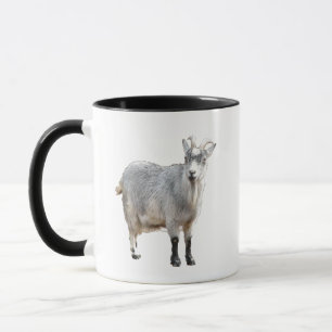 Taza Granja de cabra gris Fotografía de naturaleza anim