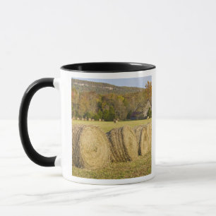 Taza Granja histórica en el río nacional del búfalo,