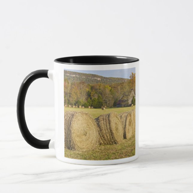 Taza Granja histórica en el río nacional del búfalo, (Izquierda)