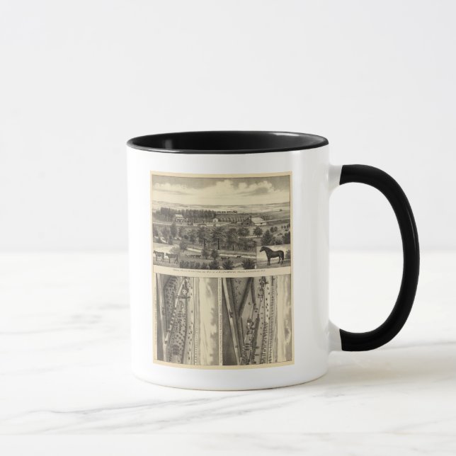Taza Granja Wahoo Valley, Nebraska (Derecha)