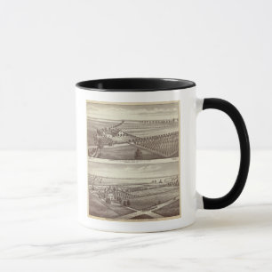 Taza Granjas de Tulare