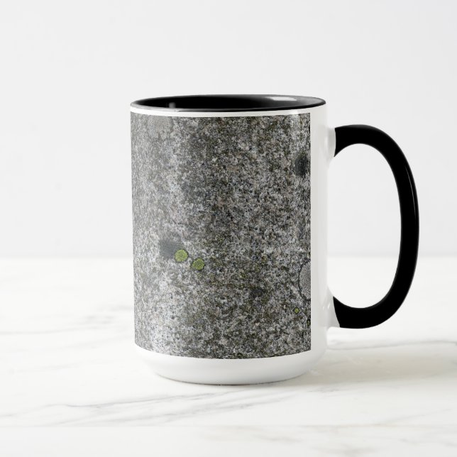 Taza Gris de la roca del granito con el musgo verde (Derecha)