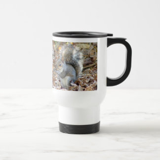 Taza gris del animal de la ardilla