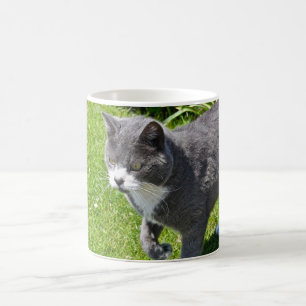 Taza gris y blanca del gato