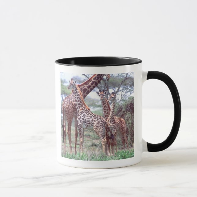 Taza Grupo de jirafas o manada con joven, Giraffa (Derecha)