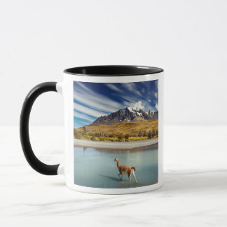 Taza Guanaco que cruza el río en Torres del Paine