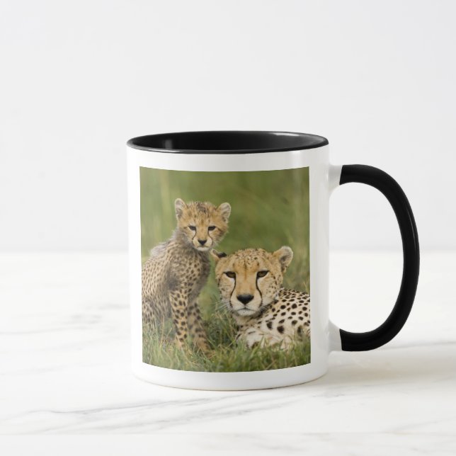 Taza Guepardo, Acinonyx jubatus, con cría (Derecha)