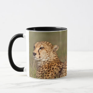 Taza Guepardo acostado en la hierba, conservación de Ng