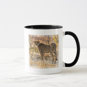 Taza Guepardo Mirando Alrededor