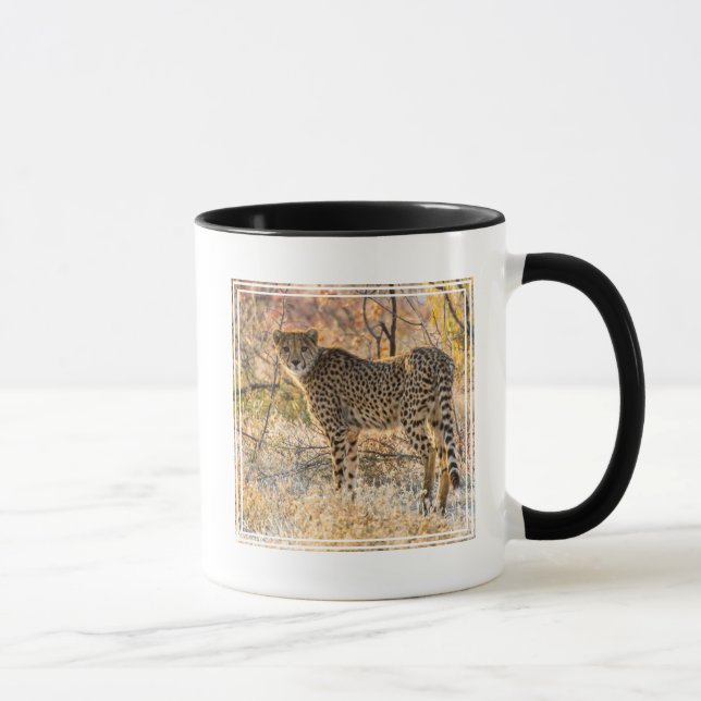 Taza Guepardo Mirando Alrededor (Derecha)