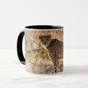 Taza Guepardo mirando alrededor