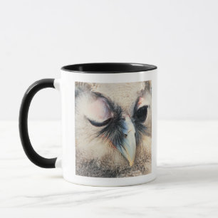 Taza Guiño del búho