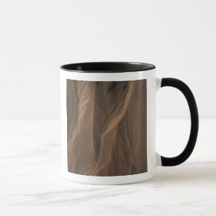 Taza Gullies al borde del cráter de Hale, Marte