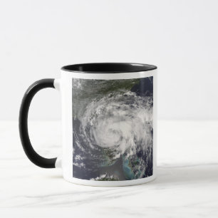 Taza Hada tropical 4 de la tormenta