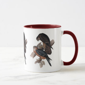 Taza Halcón de MERLIN o de paloma