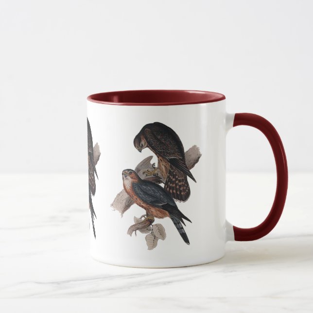 Taza Halcón de MERLIN o de paloma (Derecha)