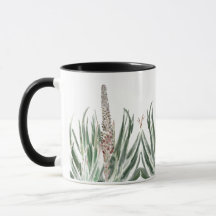 Hallo Aloe de dos tones de café Mug