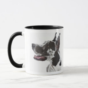 Taza Harlequin great dane