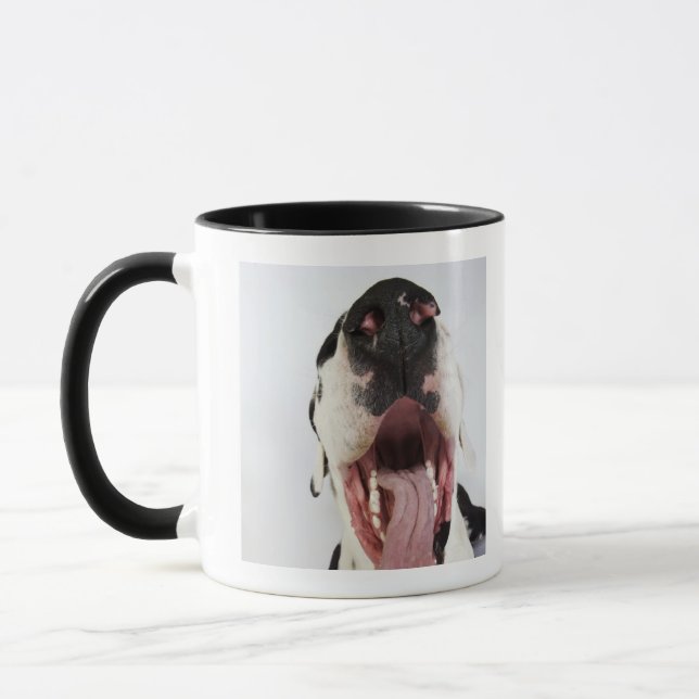 Taza Harlequin great dane con la boca abierta, primer, (Izquierda)