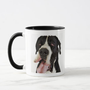 Taza Harlequin great dane, primer en blanco