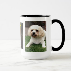 Taza Harvey el Cavahon