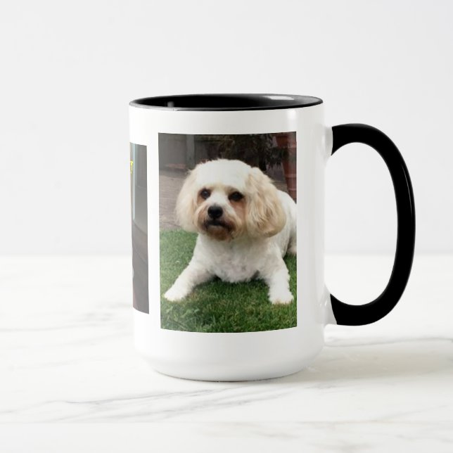 Taza Harvey el Cavahon (Derecha)