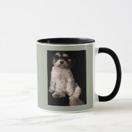 Taza Havanese-ponga la imagen de su perro aquí