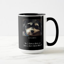 ¿Havanese-tengo un Havi?