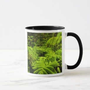 Taza Hawái, Isla Grande, exuberante vegetación tropical