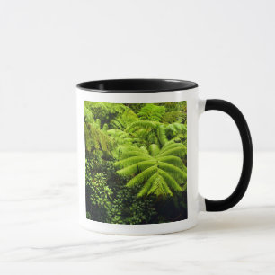 Taza Hawái, Isla Grande, exuberante vegetación tropical