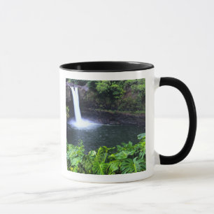 Taza Hawaii, Isla Grande, Hilo, Cataratas Arcoiris, Luj