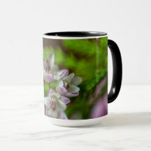 Heather Spring flor evergreen flor morado blanco