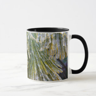 Taza Helado Cubierta de Pino Agujas Botánicas de Invier