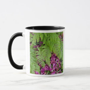 Taza Helechos del bosque con pétalos de flores rosas en